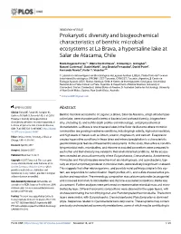 Prokaryotic Diversity and Biogeochemical Characteristics of Benthic Microbial Ecosystems at La Brava, a Hypersaline Lake at Salar De Atacama, Chile