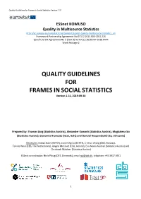 Quality Guidelines for Frames Insocialstatistics