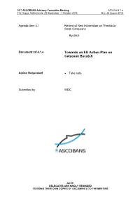 Towards an EU Action Plan on Cetacean Bycatch