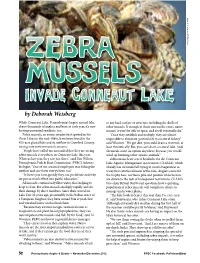 Zebra Mussels Invade Conneaut Lake by Deborah Weisberg