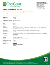 Stefin B (CSTB) Mouse Monoclonal Antibody [Clone ID: OTI1E8] Product Data