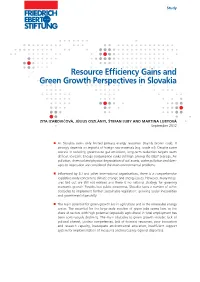 Resource Efficiency Gains and Green Growth Perspectives in Slovakia