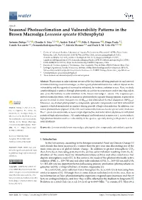 Seasonal Photoacclimation and Vulnerability Patterns in the Brown Macroalga Lessonia Spicata (Ochrophyta)