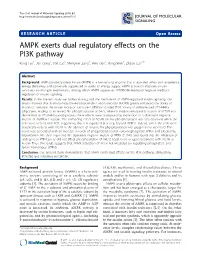 AMPK Exerts Dual Regulatory Effects on the PI3K Pathway Rong Tao1, Jun Gong2, Xixi Luo3, Mengwei Zang4, Wen Guo4, Rong Wen5, Zhijun Luo2,4*