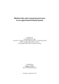 Biodiversity and Ecosystem Processes in an Experimental Island System