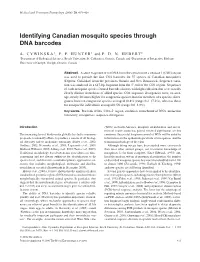 Identifying Canadian Mosquito Species Through DNA Barcodes