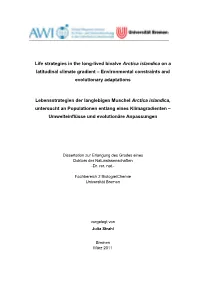 Life Strategies in the Long-Lived Bivalve Arctica Islandica on a Latitudinal Climate Gradient – Environmental Constraints and Evolutionary Adaptations