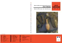 Bilan Scientifique 2 0