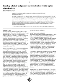 Breeding Schedule and Primary Moult in Dunlins &lt;I&gt;Calidris Alpina&lt;/I&gt; Of
