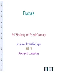 Fractals.Pdf