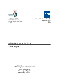 Leidenfrost Effect at Its Limits