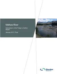 Methow River Assessment of the Twisp to Carlton Reach January 2017, Final