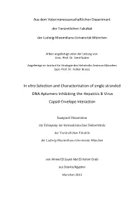 In Vitro Selection and Characterization of Single Stranded DNA Aptamers Inhibiting the Hepatitis B Virus Capsid-Envelope Interaction