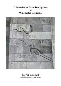 A SELECTION of LATIN INSCRIPTIONS at WINCHESTER CATHEDRAL by Pat Wagstaff