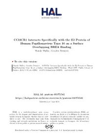 CCHCR1 Interacts Specifically with the E2 Protein of Human Papillomavirus Type 16 on a Surface Overlapping BRD4 Binding Mandy Muller, Caroline Demeret