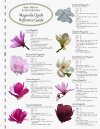 Magnolia Quick Reference Guide