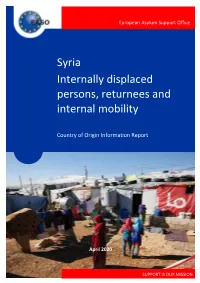 Syria: Internally Displaced Persons, Returnees and Internal Mobility — 3