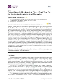 Escherichia Coli: Physiological Clues Which Turn on the Synthesis of Antimicrobial Molecules