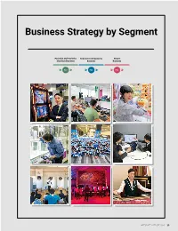 Business Strategy by Segment