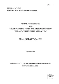 FINAL REPORT (Pre-F/S)