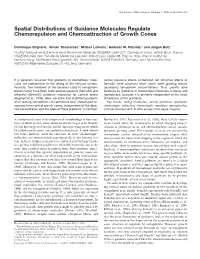Spatial Distributions of Guidance Molecules Regulate Chemorepulsion and Chemoattraction of Growth Cones