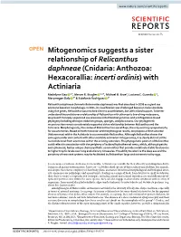 With Actiniaria Madelyne Xiao 1,4, Mercer R