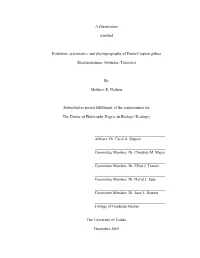 A Dissertation Entitled Evolution, Systematics