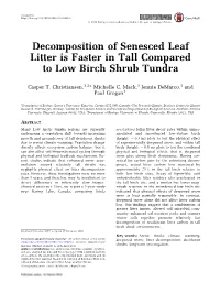 Decomposition of Senesced Leaf Litter Is Faster in Tall Compared to Low Birch Shrub Tundra