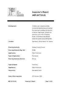 Inspector's Report ABP-307723-20