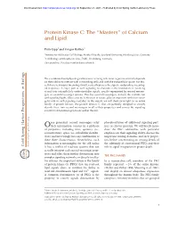 Protein Kinase C: the “Masters” of Calcium and Lipid