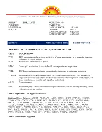 Sample Lab Report