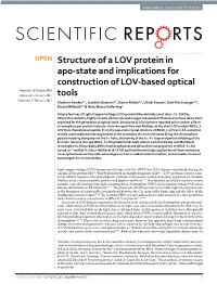 Structure of a LOV Protein in Apo-State and Implications for Construction of LOV-Based Optical Tools