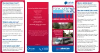 What Is Suffolk Links? the Journey Will Be Charged Like a Bus Fare