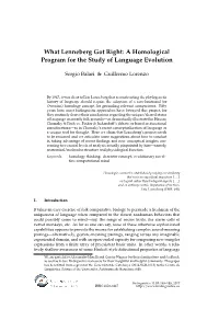 What Lenneberg Got Right: a Homological Program for the Study of Language Evolution