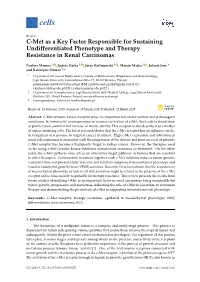 C-Met As a Key Factor Responsible for Sustaining Undifferentiated Phenotype and Therapy Resistance in Renal Carcinomas