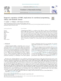 Epigenetic Regulation of POMC; Implications for Nutritional Programming, Obesity and Metabolic Disease T ⁎ T