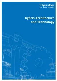 Hybris Architecture and Technology Abstract