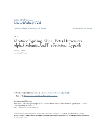 Nicotinic Signaling: Alpha3 Beta4 Heteromers, Alpha5 Subunits, and the Rp Ototoxin Lypd6b Vanessa Ochoa University of Vermont