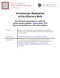 Serotonergic Modulation of the Olfactory Bulb