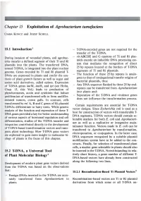 I Chapter 15 Exploitation of Agrobacterium Tumefaciens
