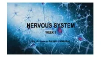 Nervous System Week 5