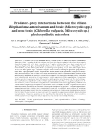 Predator-Prey Interactions Between the Ciliate Blepharisma Americanum