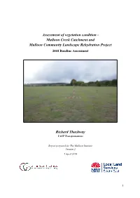Assessment of Vegetation Condition - Mulloon Creek Catchment and Mulloon Community Landscape Rehydration Project 2018 Baseline Assessment