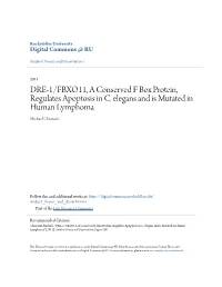 DRE-1/FBXO11, a Conserved F Box Protein, Regulates Apoptosis in C