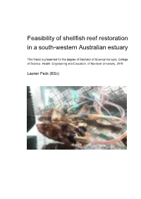 Feasibility of Shellfish Reef Restoration in a South-Western Australian Estuary