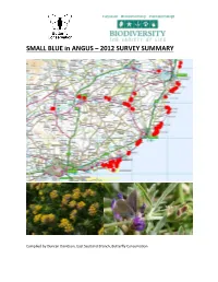 SMALL BLUE in ANGUS – 2012 SURVEY SUMMARY