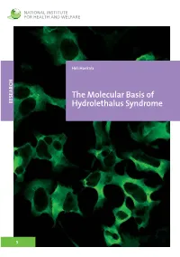 The Molecular Basis of Hydrolethalus Syndrome