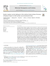 Further Analyses on the Phylogeny of the Subclass Scuticociliatia (Protozoa, Ciliophora) Based on Both Nuclear and Mitochondrial