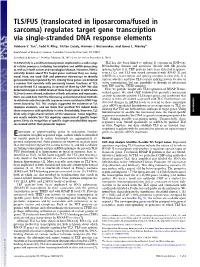 Regulates Target Gene Transcription Via Single-Stranded DNA Response Elements