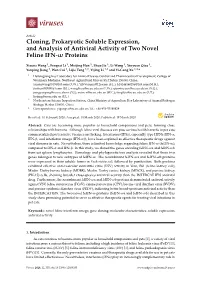Cloning, Prokaryotic Soluble Expression, and Analysis of Antiviral Activity of Two Novel Feline IFN- Proteins